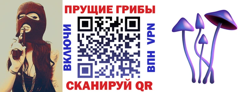 MEGA ONION  Дегтярск  Галлюциногенные грибы MAGIC MUSHROOMS 